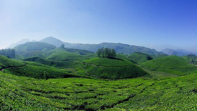 munnar